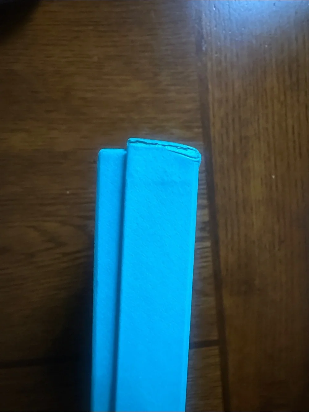 Tiffany & Co. aqua blue leather notebook with silver foil